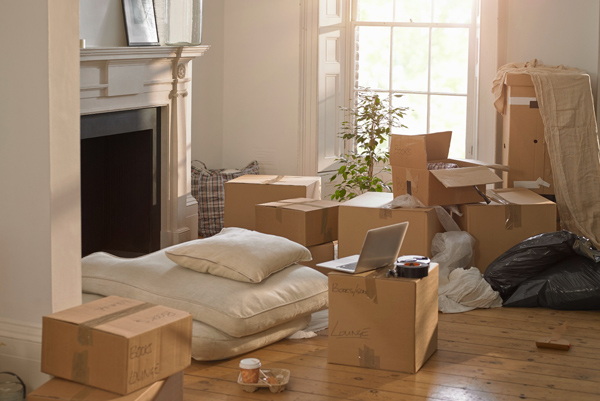 Krishna International Packers and Movers
